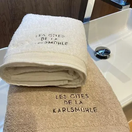 招待所 Les De La Karlsmuhle 阿格诺