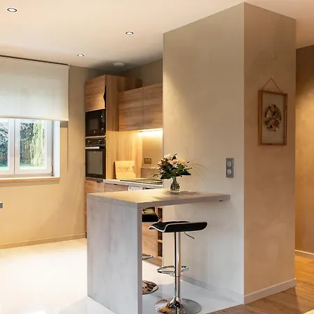 Les De La Karlsmuhle Affittacamere Haguenau