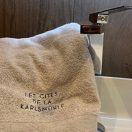 Les De La Karlsmuhle * Haguenau